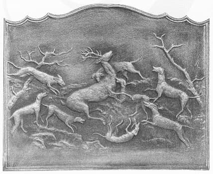 Polowanie na lisy GM